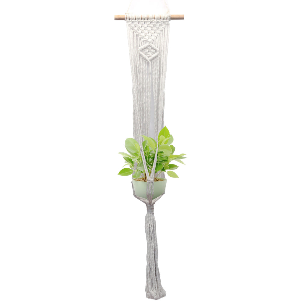 Macrame plant hanging with single pot