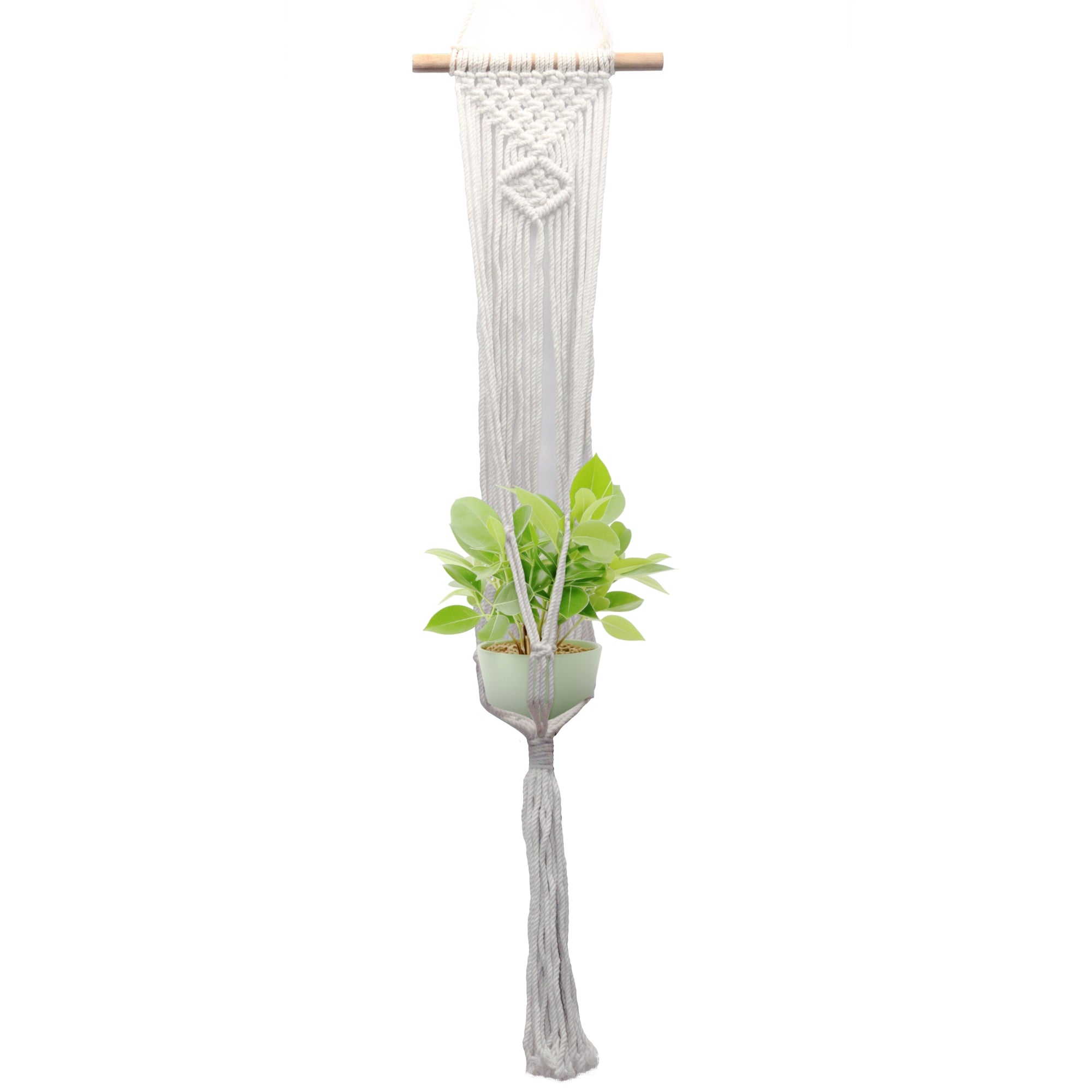 Macrame plant hanging with single pot