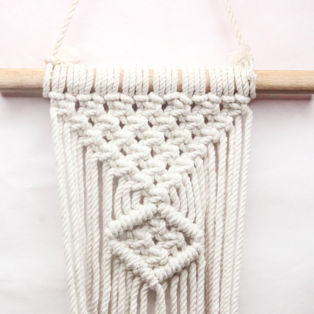 Macrame plant hanging with single pot