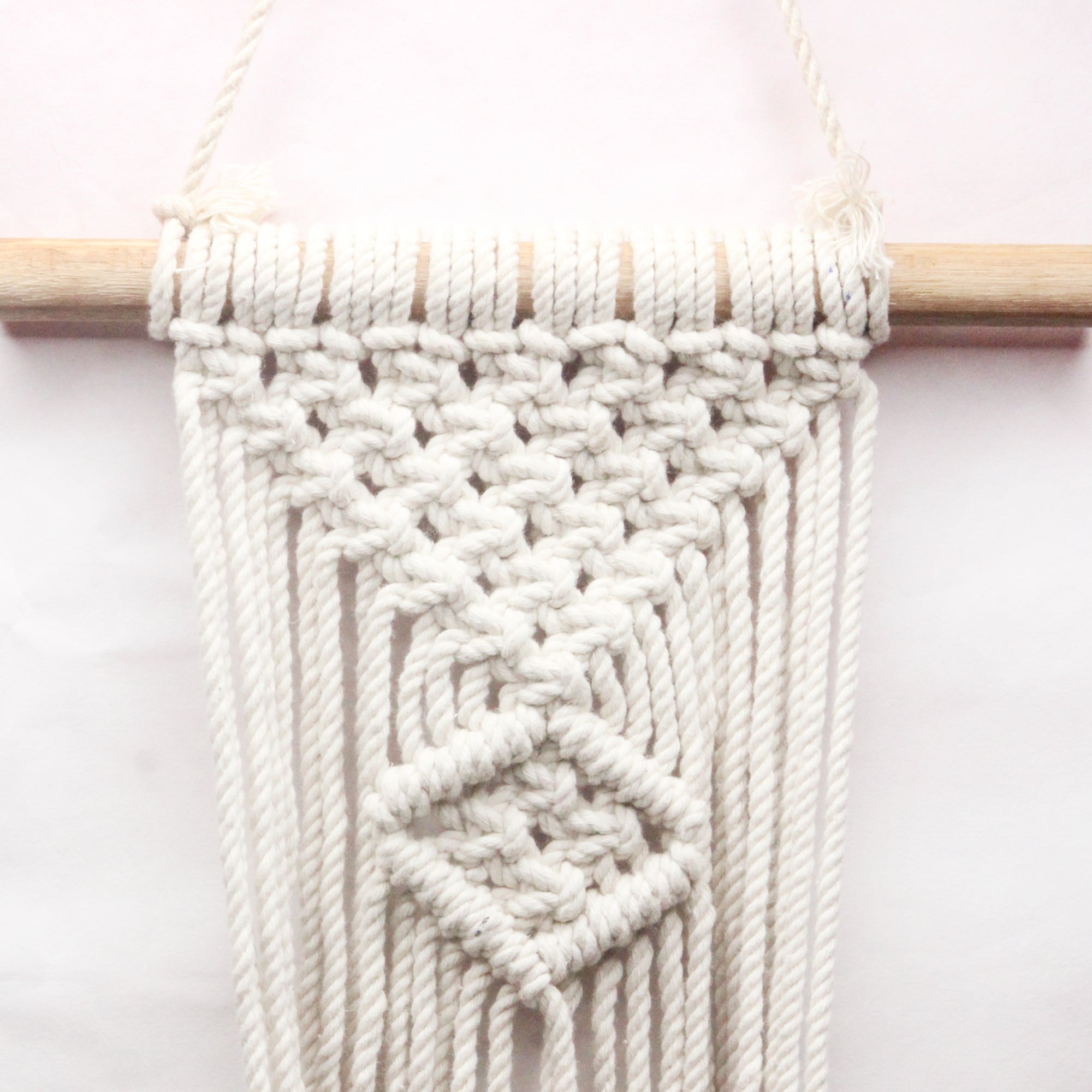 Macrame plant hanging with single pot