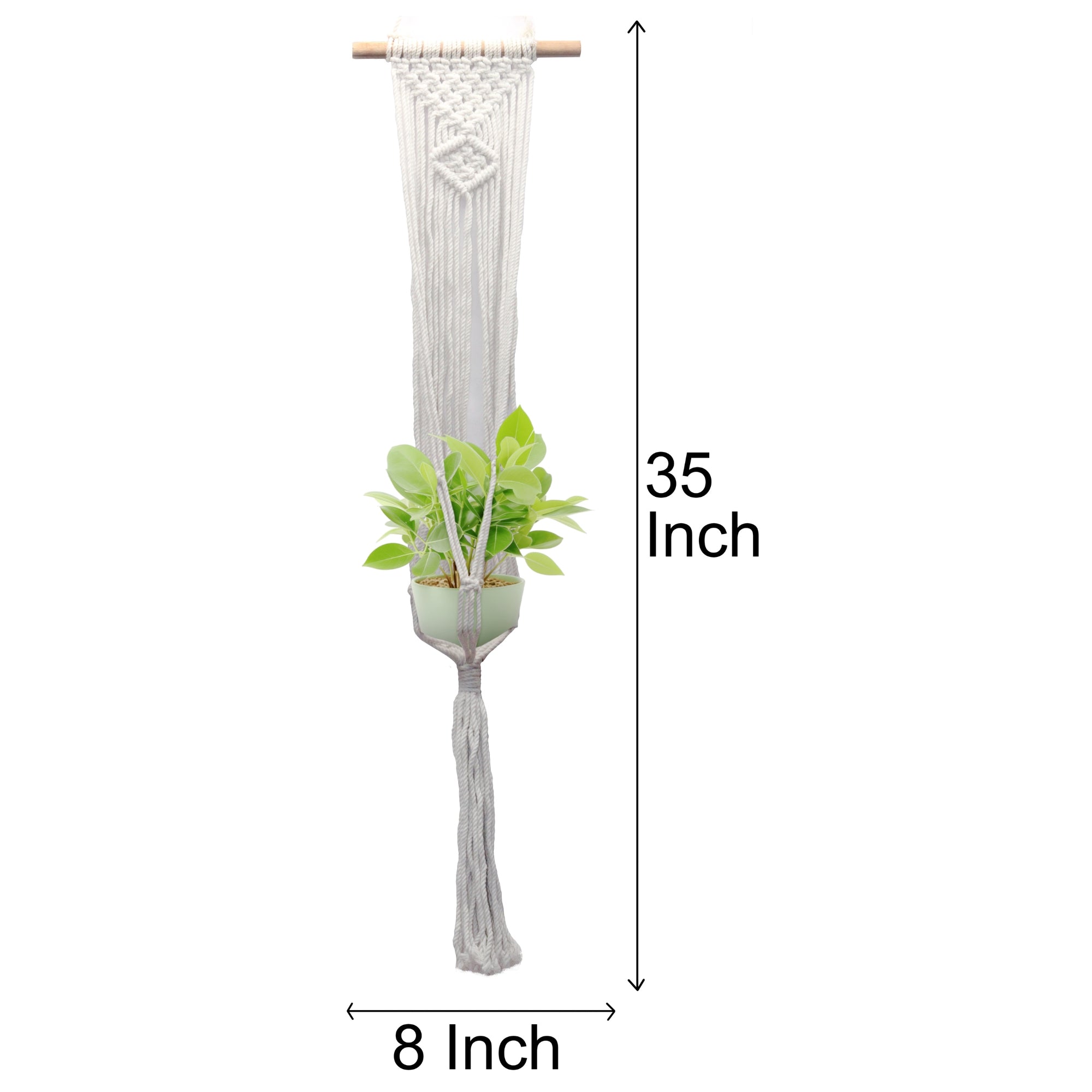 Macrame plant hanging with single pot