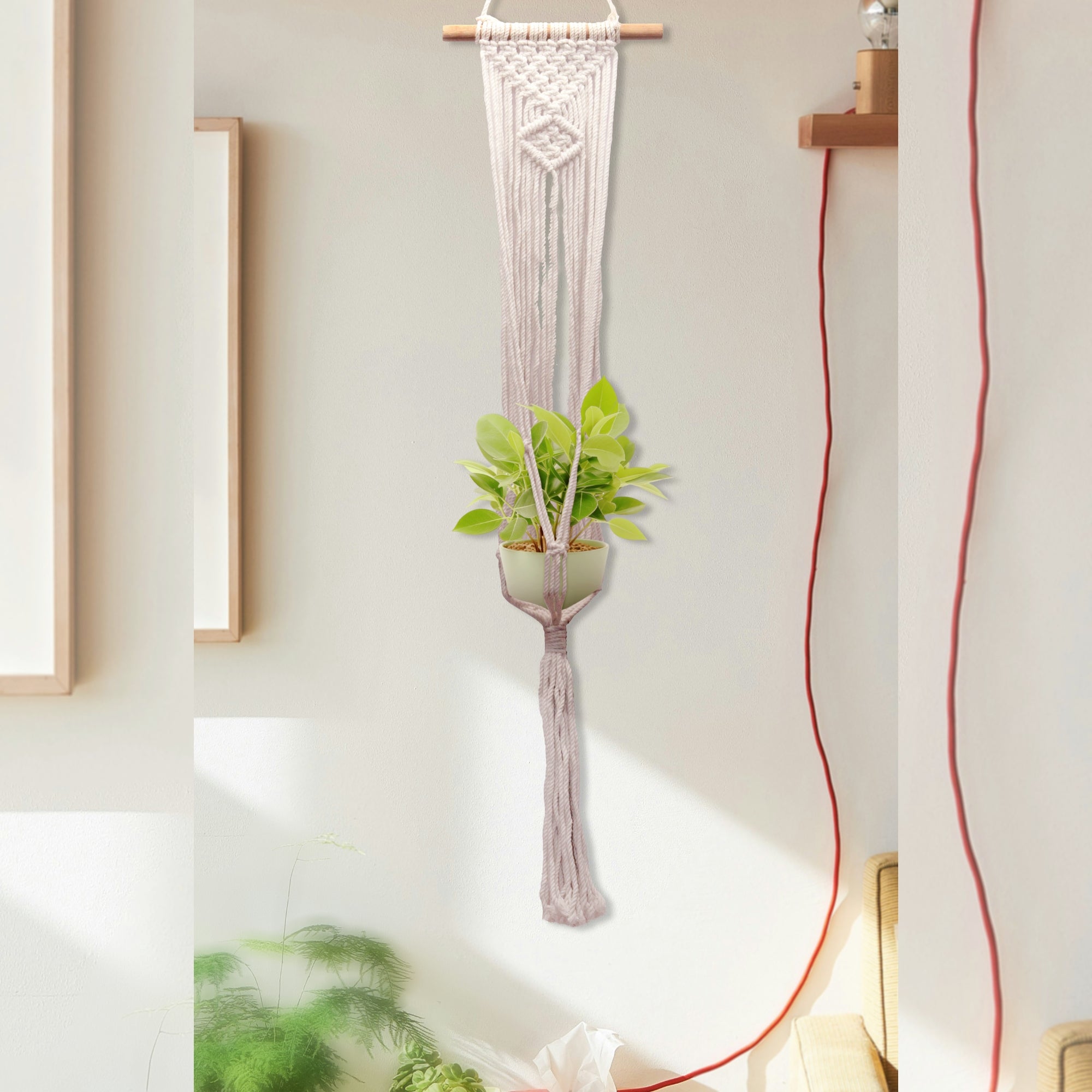 Macrame plant hanging with single pot