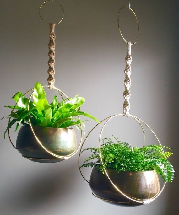 Saaika Crafts metal rings used as hanging planters with macrame cord and potted green plants